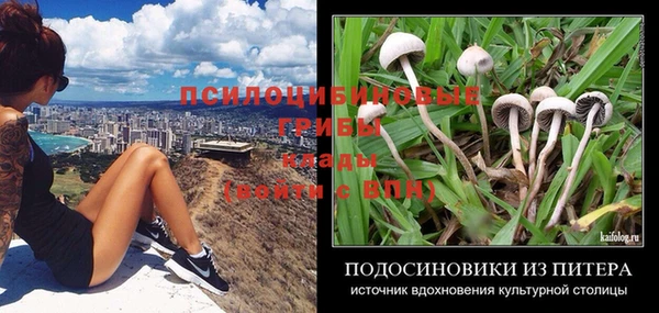 молекула духа Армянск
